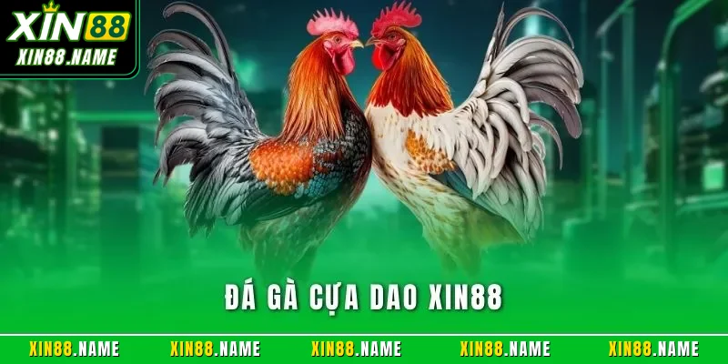 Đá Gà Cựa Dao XIN88| Trải Nghiệm Chọi Kê Online Đỉnh Cao 1 Đá gà cựa dao XIN88