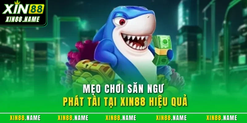 Bắn Cá Phát Tài XIN88 – Trải Nghiệm Săn Thưởng Hấp Dẫn 2025 4 Mẹo chơi săn ngư phát tài tại XIN88 hiệu quả